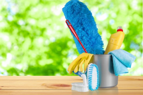 Professional gutter cleaning for a Queenspark home