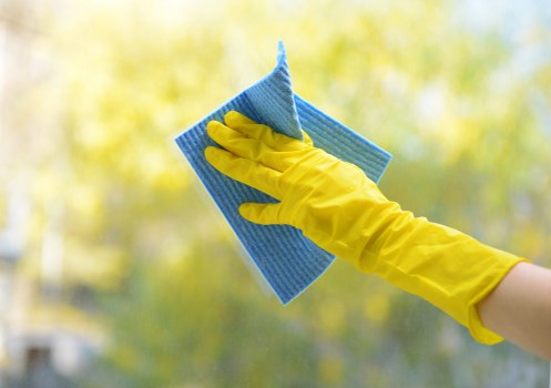 Queenspark cleaner working in a family home interior