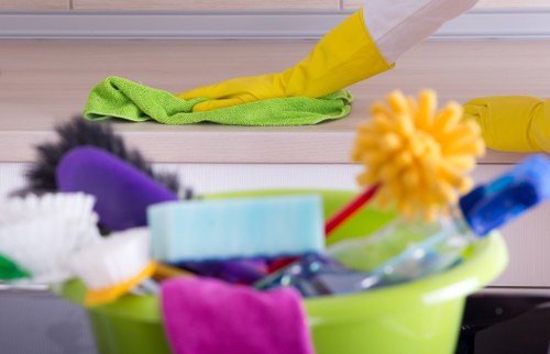 Professional oven cleaning service for a home kitchen in Queenspark
