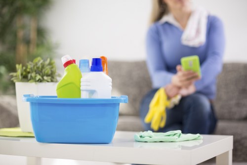 Bathroom surfaces and fixtures cleaned as part of move-in cleaning in Queenspark