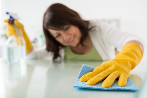 Cleaner Queenspark staff reviewing service requirements