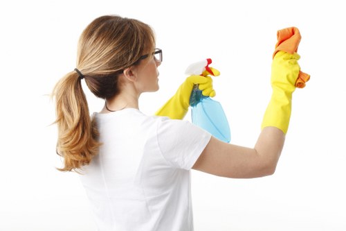 Local regular cleaning service for Queenspark homes