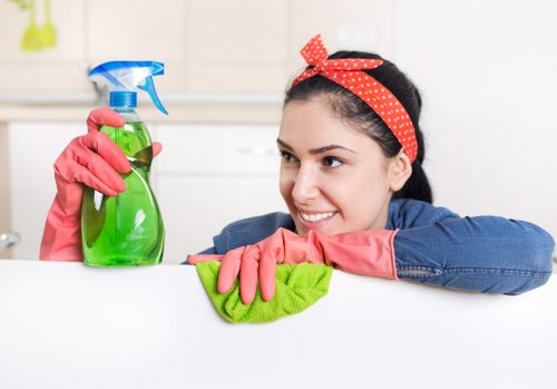 Detailed bathroom and surface cleaning during a Queenspark one-time clean