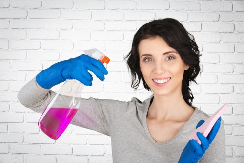Deep carpet cleaning equipment in a Queenspark property