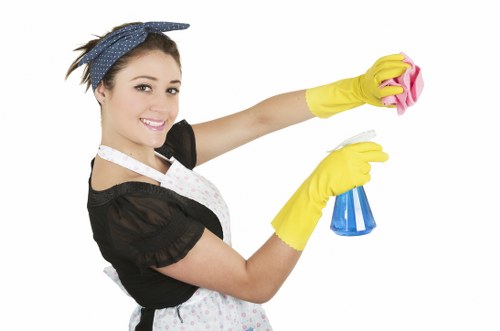 Professional cleaning of shared access areas in Queenspark